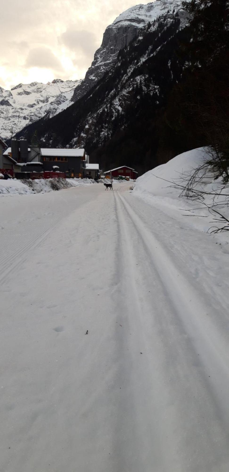 Hostel Engelberg "Mein Trail Hostel" Esterno foto